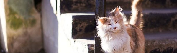 Завтра в Приморье вернётся солнечная погода
