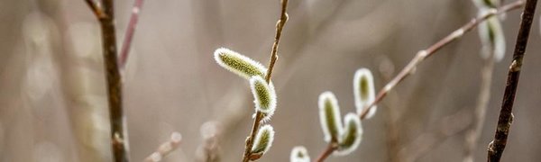 Праздничные выходные в Приморье обещают быть очень тёплыми