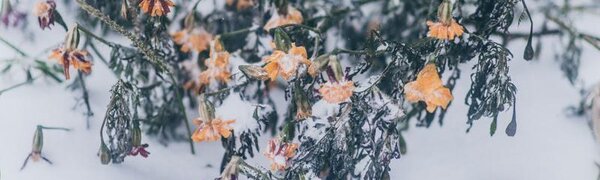 Облачно, временами снег: прогноз погоды на выходные в Приморье