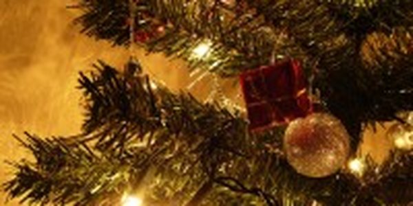 Большинство удовлетворены сроком новогодних каникул<a> <sup style='color:red'>Новый год!</sup></a>