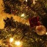 Большинство удовлетворены сроком новогодних каникул<a> <sup style='color:red'>Новый год!</sup></a>
