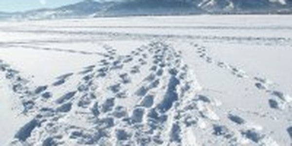 Первая декада декабря в Приморье оказалась богата на осадки