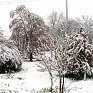 В Великобританию в середине мая вернулась зима