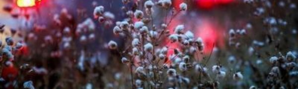 Короткая рабочая неделя завершается дождями в Приморье