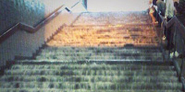 Четверть месячной нормы осадков выпала в Москве за несколько часов