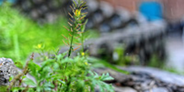 В Приморье ожидается ухудшение погодных условий