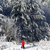Европа снежная и нежная 