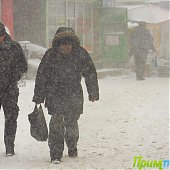 Заметает метель Владивосток (ФОТО)