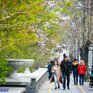 Обещанное синоптиками похолодание пришло в Приморье и Владивосток