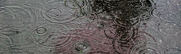 Прошедшие дожди улучшили пожароопасную обстановку в Приморье