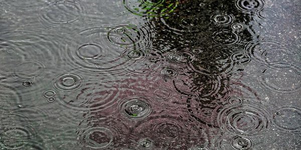 В среду в Приморье пройдут дожди, затем похолодает