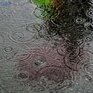 Прошедшие дожди улучшили пожароопасную обстановку в Приморье