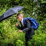 В Приморье начались сильные дожди