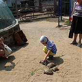 Зоопарк «Садгород»: У нас вы можете покормить животных 