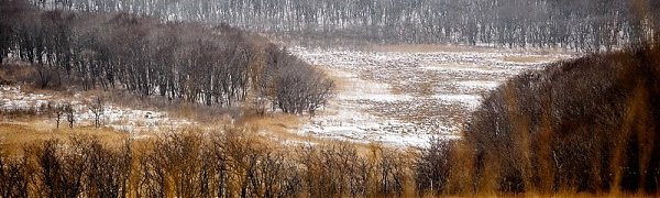 До конца рабочей недели в Приморье сохранится теплая погода без осадков