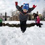 Мэр Бостона призвал жителей города перестать прыгать в сугробы из окон