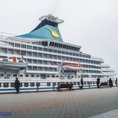 Первый в этом году круизный лайнер прибыл во Владивосток