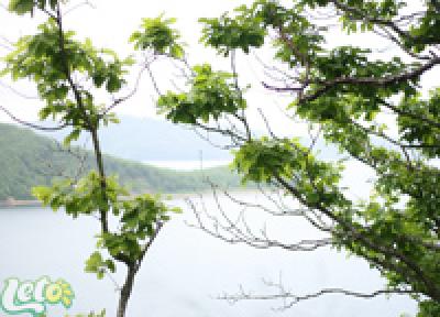 Сегодня во Владивостоке по-летнему тепло