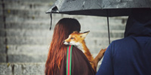 Июль прощается с нами дождями