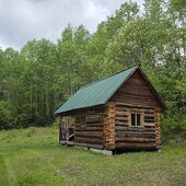 Май в Сихотэ-Алинском заповеднике – цветущий месяц весны