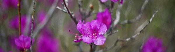 Температура воздуха в Приморье превышает норму на 3-8 °С и больше