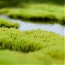 На реках Приморья продолжается подъем уровня воды