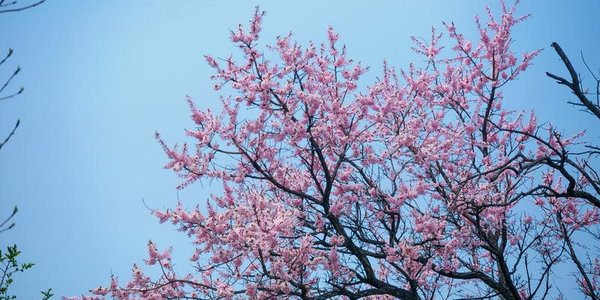 Завтра во Владивостоке потеплеет до +24 °C