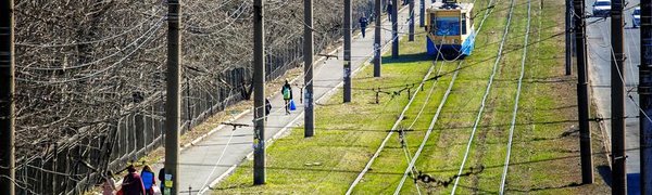 Первая декада мая в Приморье оказалась умеренно теплой 