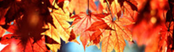 Октябрь как повод для вдохновения