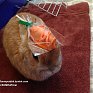 Кролик Винни и предметы на нем