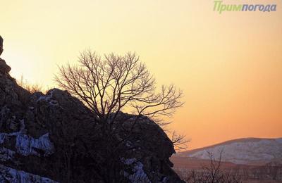 Морозы в Приморье усилятся