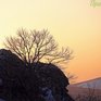 Морозы в Приморье усилятся