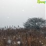 «Снежная каша» в головах