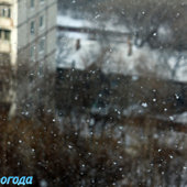 «Снежная каша» в головах