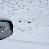Снегопад парализовал движение во Владивостоке