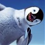 Перепись из космоса удвоила число пингвинов в Антарктике