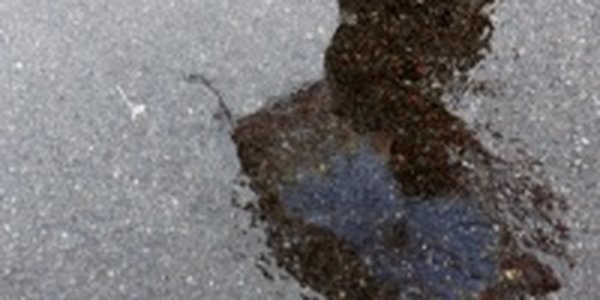 В  Приморье в воскресенье дождливо