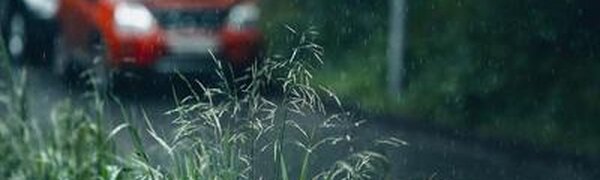 Опубликован прогноз погоды на последние выходные июня в Приморье