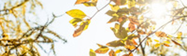 Завтра во Владивостоке будет тепло