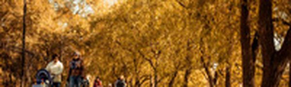 В воскресенье местами пройдет небольшой дождь