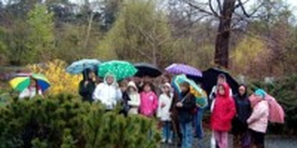 Ботанический сад закрыт после проверки Госпожнадзора