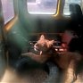 В Петербурге львицу спасли из заточения в автобусе