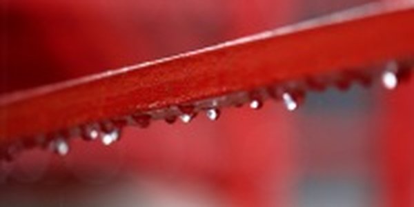 Завтра Приморье польет дождем