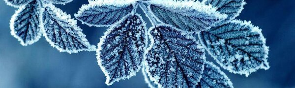 Небольшой мороз до -5 °С отмечается в горных районах Приморья по ночам