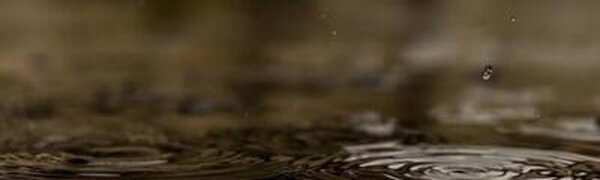В ближайшие два дня на реках Приморья продолжится подъем уровня воды до 1 м
