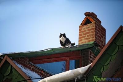 Резкое похолодание в Приморье продолжается