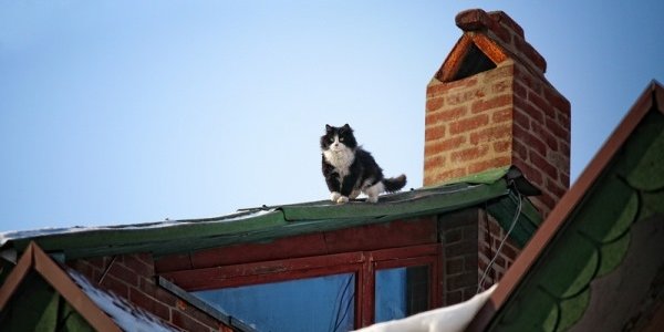 Резкое похолодание в Приморье продолжается