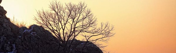 Синоптики рассказали о погоде в Приморье и Владивостоке на выходных