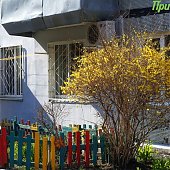 Апрель в Приморье завершится ясной весенней погодой