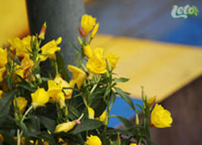 В субботу в Приморье по-летнему тепло, в воскресенье — дождливо